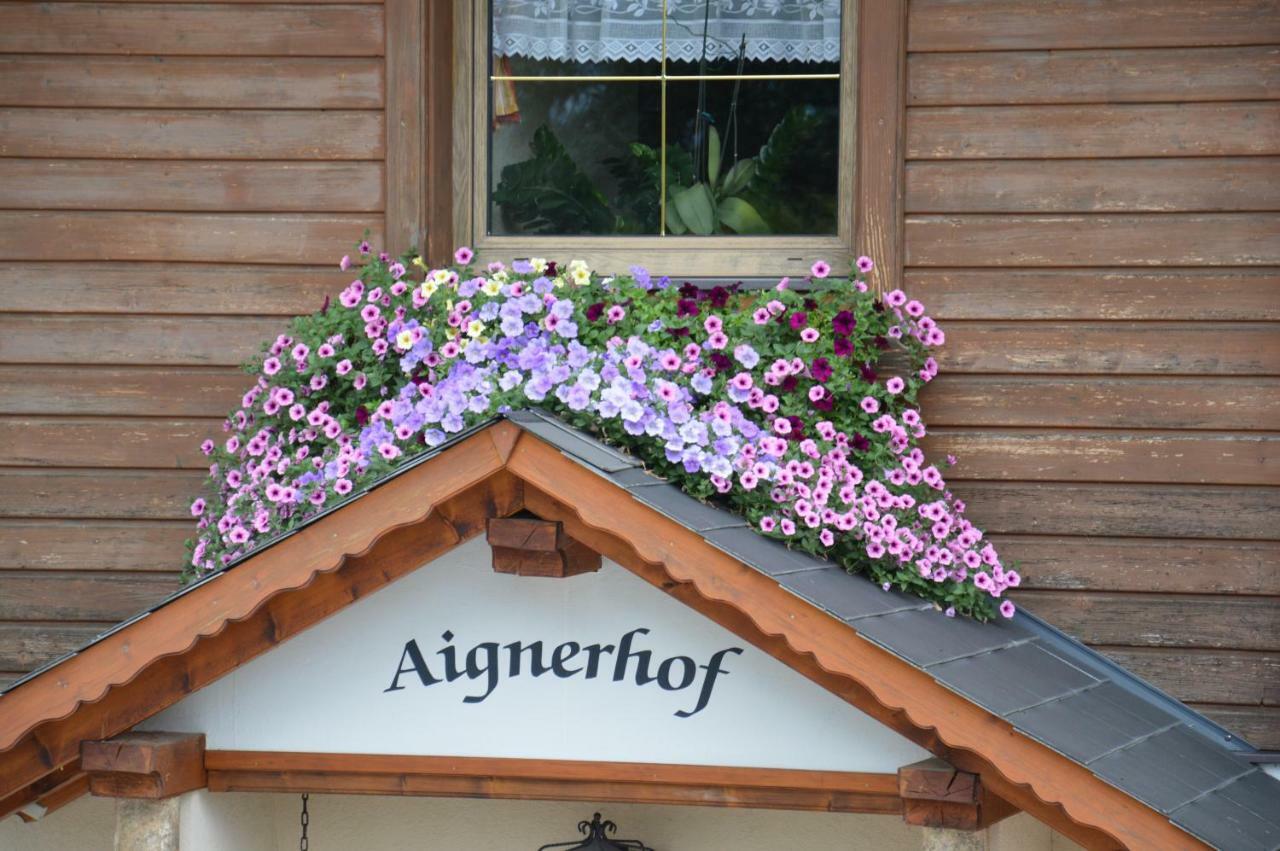 Aignerhof Villa Haus im Ennstal Exterior photo